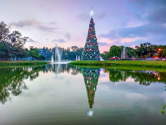 Christmas tree near lake at Ibirapuera Park