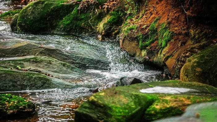 Petar in São Paulo is one of the best places in Brazil for hiking