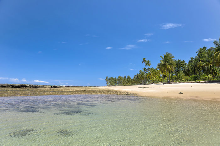 Taipu de Fora Beach in Bahia