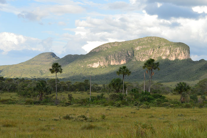 Reasons to visit Brazil, the national parks