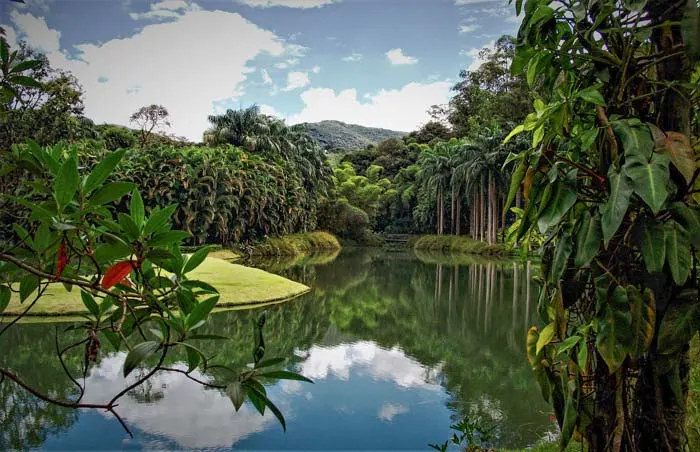 Green outdoors Inhotim Museum in Brumadinho