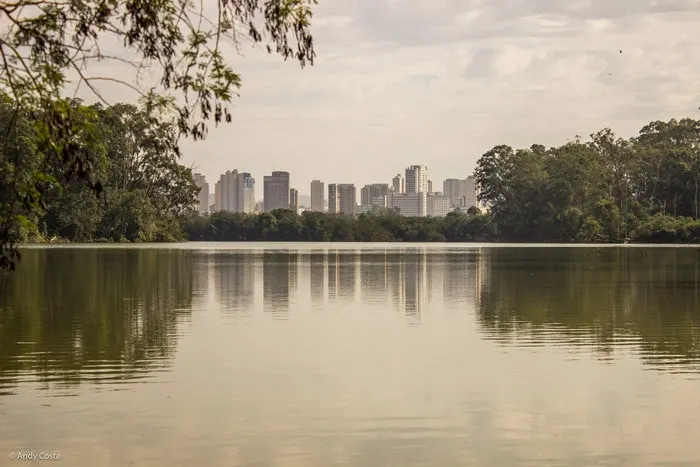 View of buildings from Ibirapuera Park