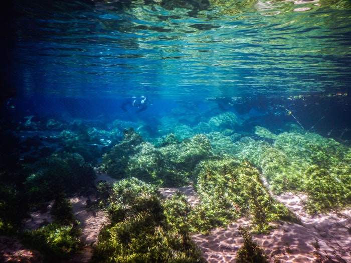 Snorkeling in the blue waters of Rio da Prata in Bonito