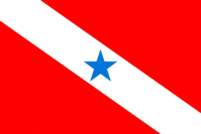 Para Brazil State Flag