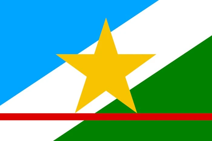 Roraima Brazil State Flag