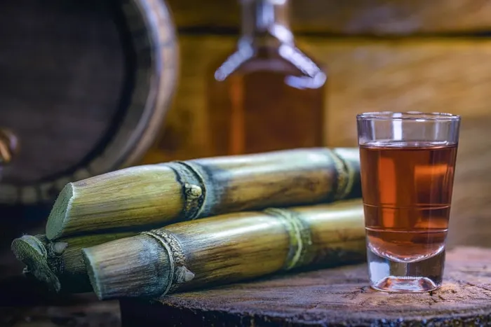 Cachaça shot near sugarcane in Brazil