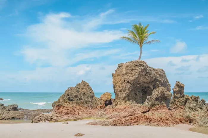 Tambaba Beach in Paraíba