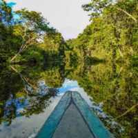 Boat cruising the Amazon River in the Rainforest