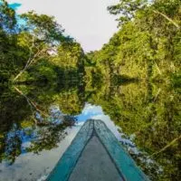 Boat cruising the Amazon River in the Rainforest