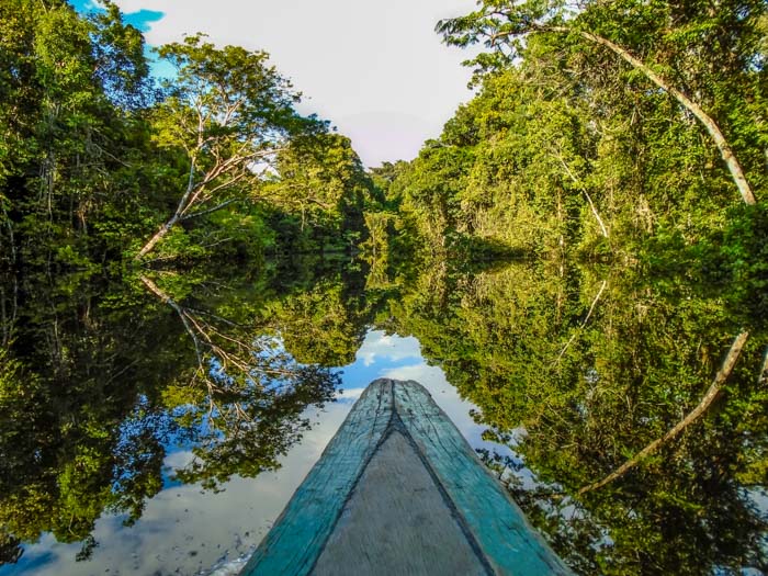 Boat cruising the Amazon River in the Rainforest