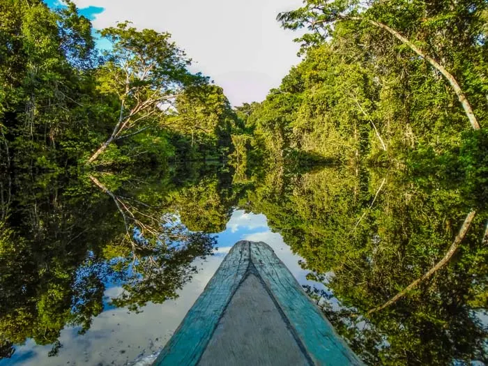 Boat cruising the Amazon River in the Rainforest