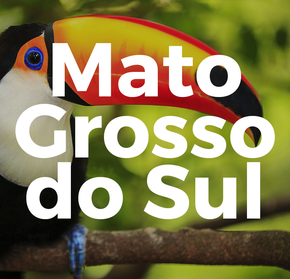 Mato Grosso do Sul