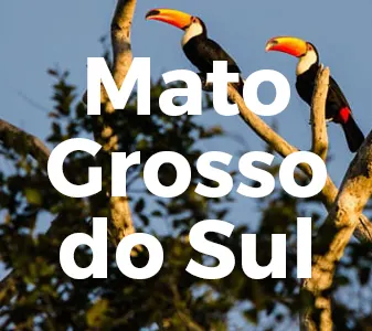 Mato Grosso do Sul