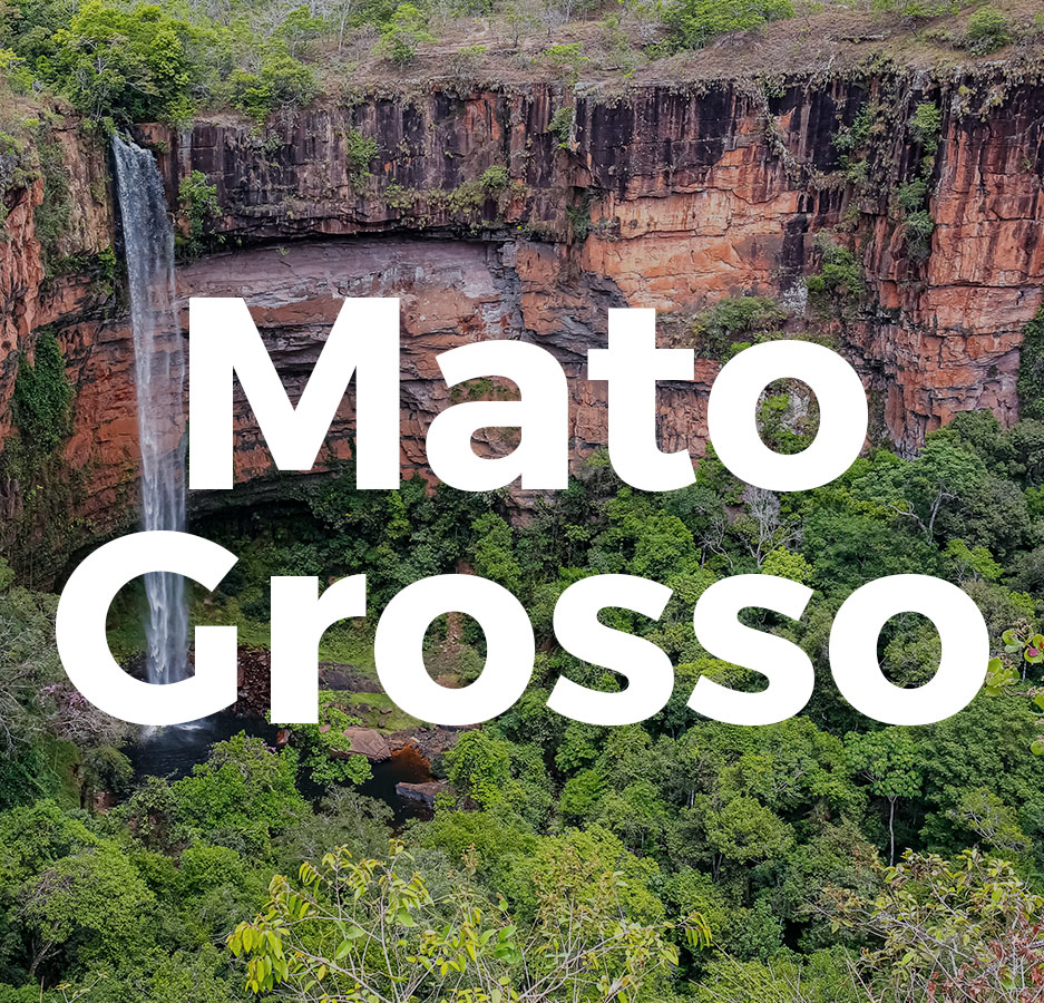 Mato Grosso