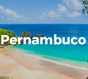 Pernambuco