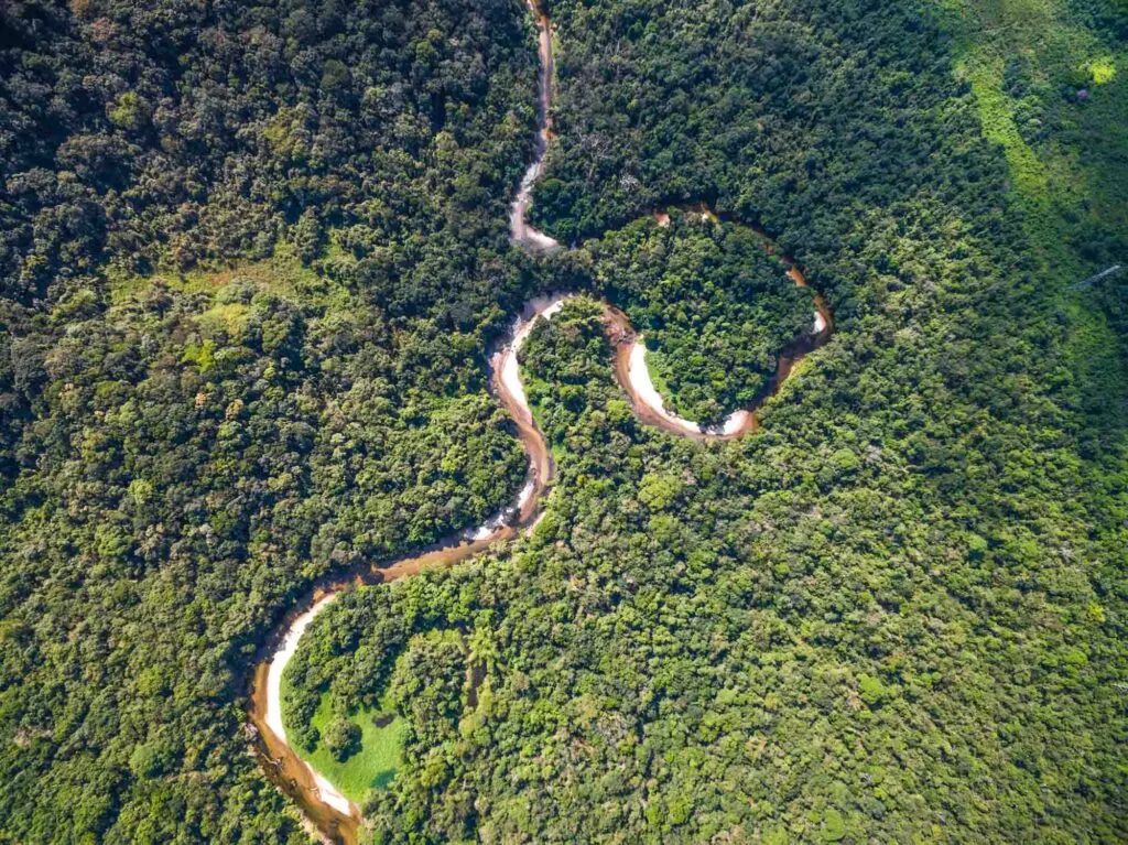 Amazon Rainforest seen from above