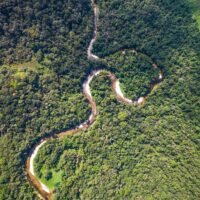 Amazon Rainforest seen from above