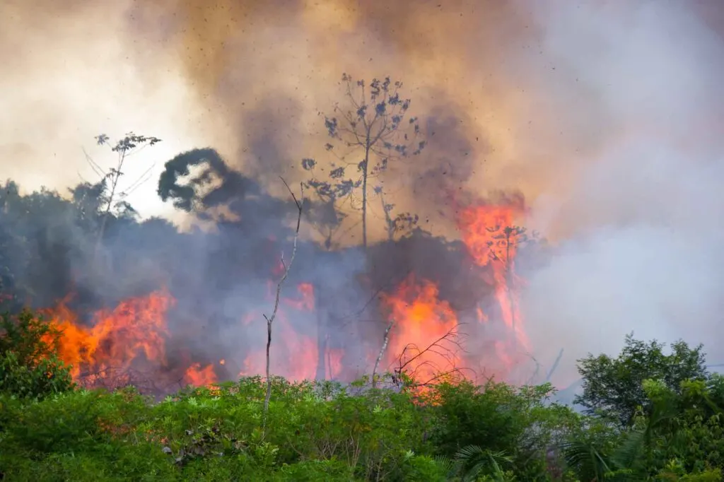 Brazilian Amazon Burning