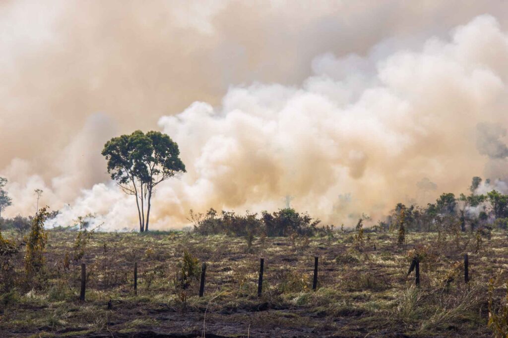 Brazilian Amazon Burning