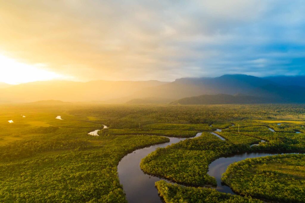 Amazon Rainforest in Brazil