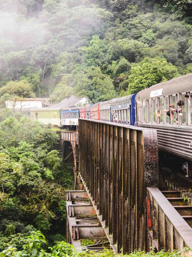 Train wagons at the Serra Verde Express between Curitiba and Morretes