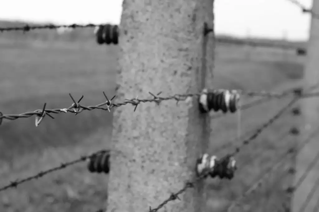 Fence with barbed wire