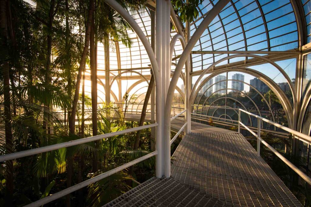 Inside the Botanical Garden in Curitiba, Brazil