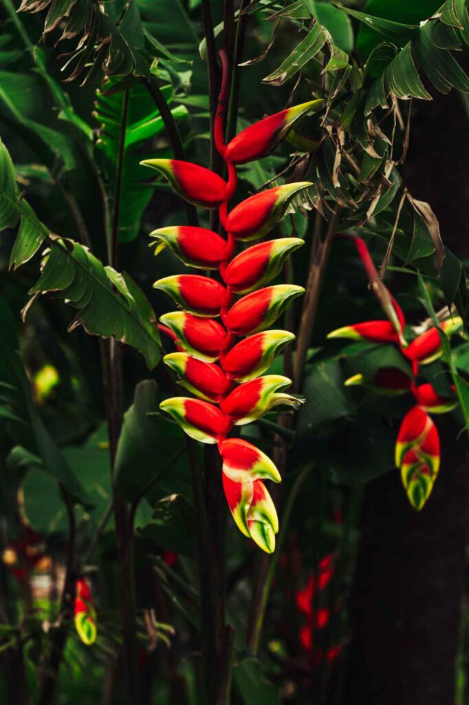 Exploring the Natural History Museum and Botanical Garden UFMG is one of the things to do in Belo Horizonte, Brazil