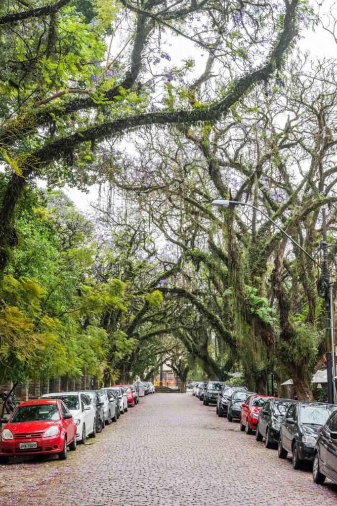 Having a cocktail on Padre Chagas street is one of the cool things to do in Porto Alegre, Brazil