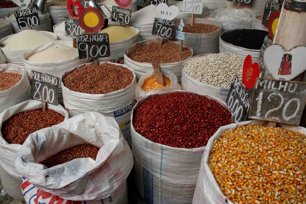 Experiencing Culture in the São Joaquim Fair is one of the fun things to do in Salvador, Brazil