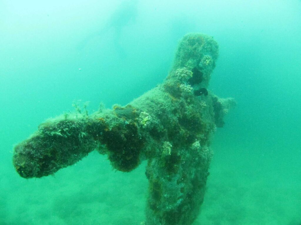 Going Scuba Diving to experience Paraty’s sealife is one of the best things to do in Paraty, Brazil