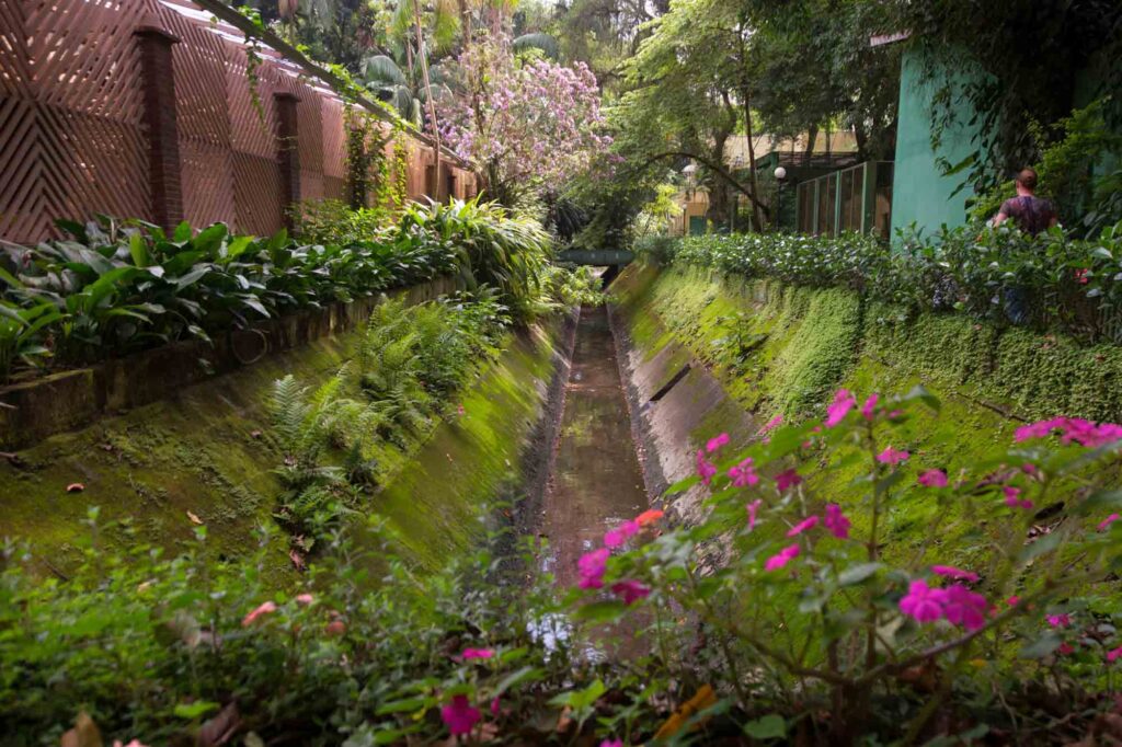 Exploring the Municipal Orchid Farm is one of the best things to do in Santos, Brazil