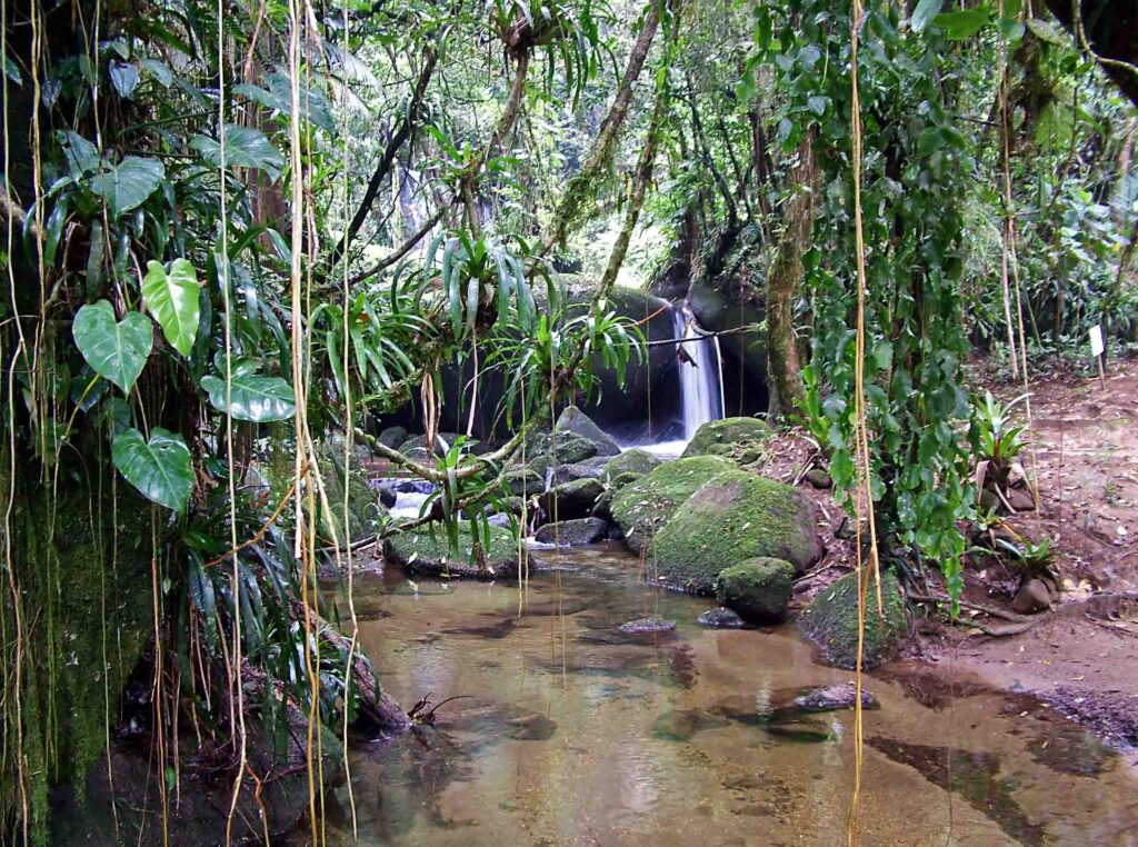 Walking Paraty’s Gold Trail is one of the fun things to do in Paraty, Brazil