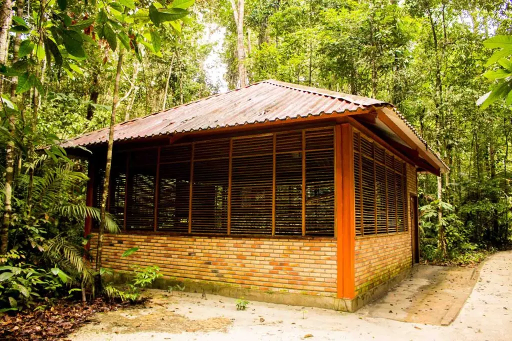 Uncovering science at Bosque da Ciência is one of the fun things to do in Manaus, Brazil