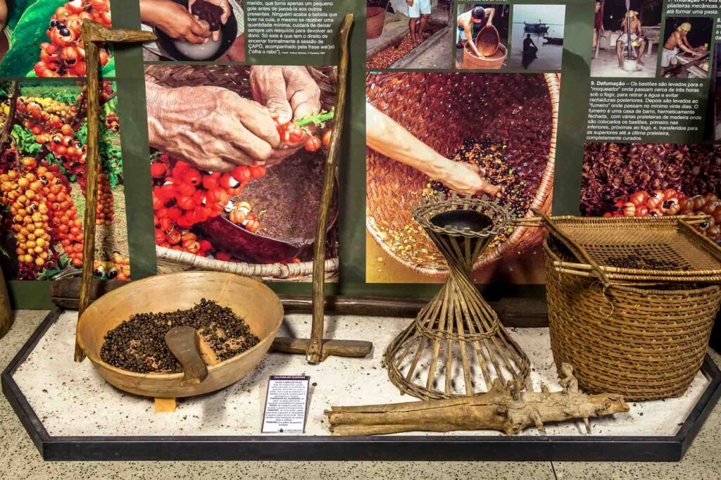 Checking out the exhibits at the Museum of Northern Man is one of the fun things to do in Manaus, Brazil