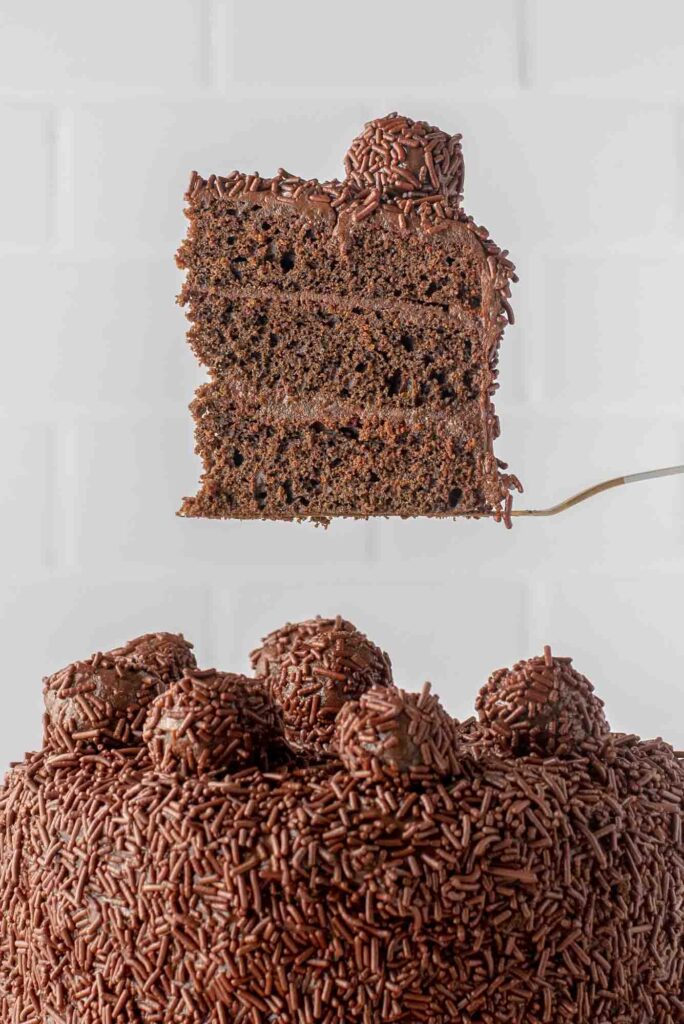 Piece of Brigadeiro cake